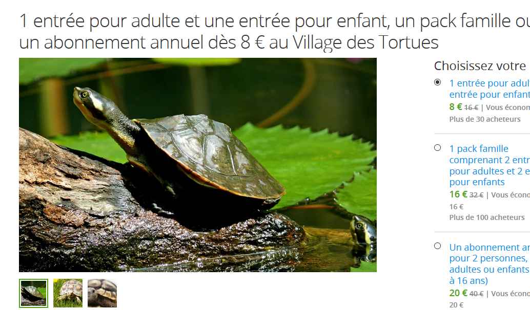 village des tortues