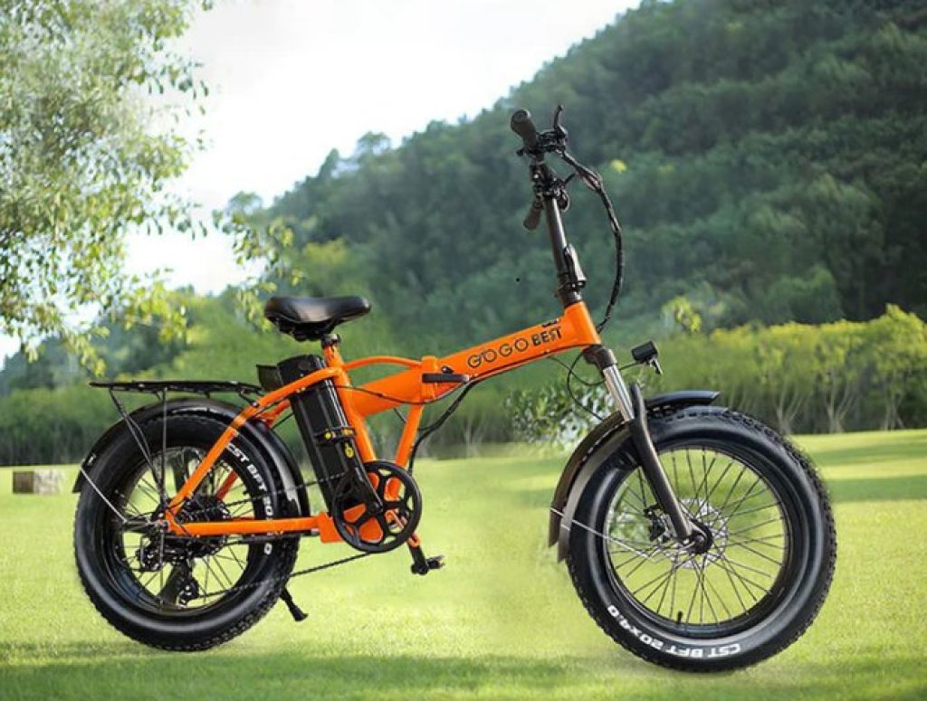 gogobest gf300 fatbike avec moteur de 1000 watts