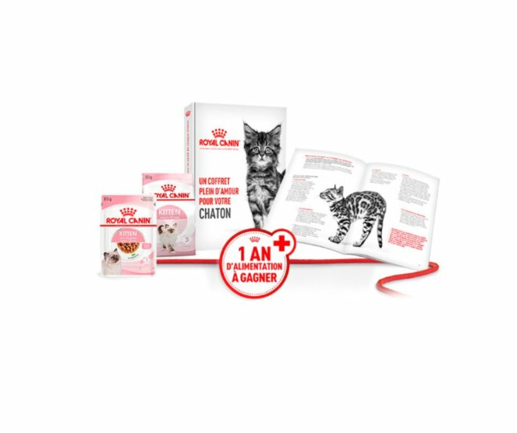 coffret chaton