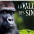 Auchan Catalogue du 16  au 22 octobre : des articles 100% remboursés en bons d’achats