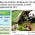Baskets hommes Kappa à scratchs à 16.15 euros